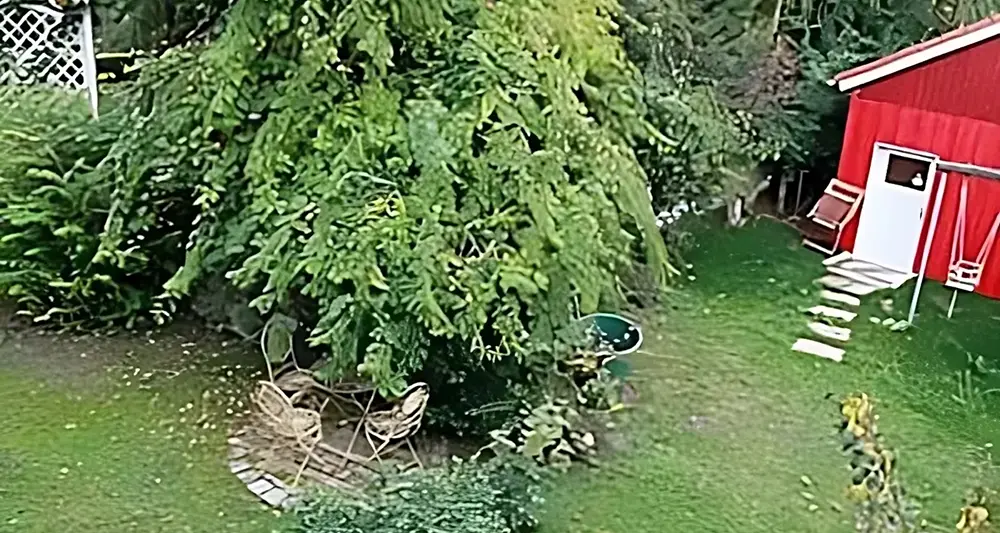 Garten mit Spielbereich für Kinder